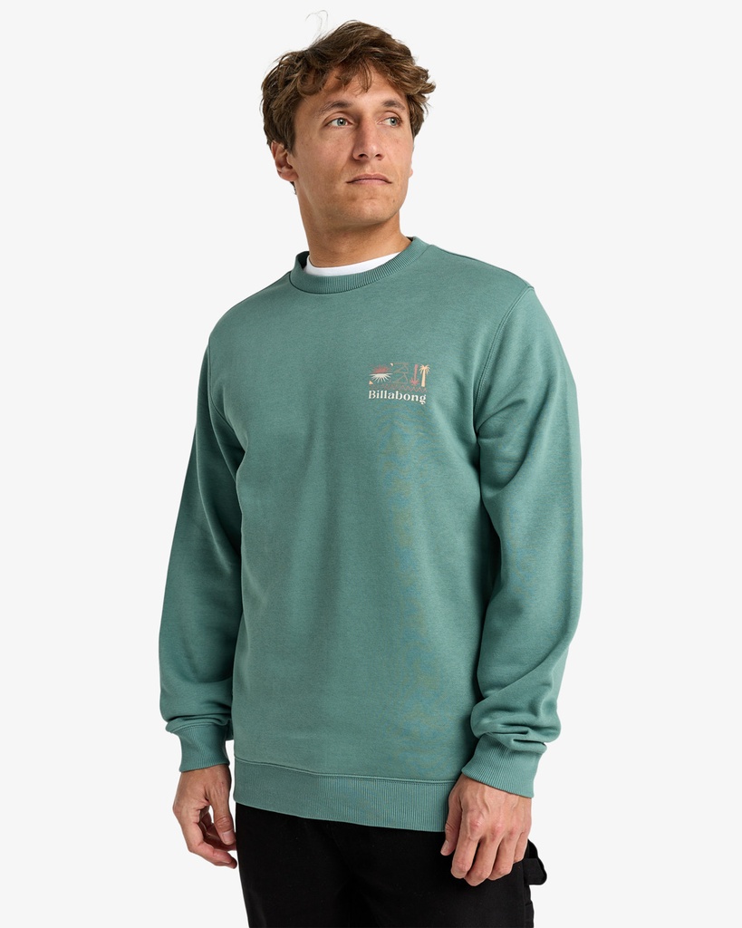 Sudadera Billabong Foundation Cr - Sagebrush