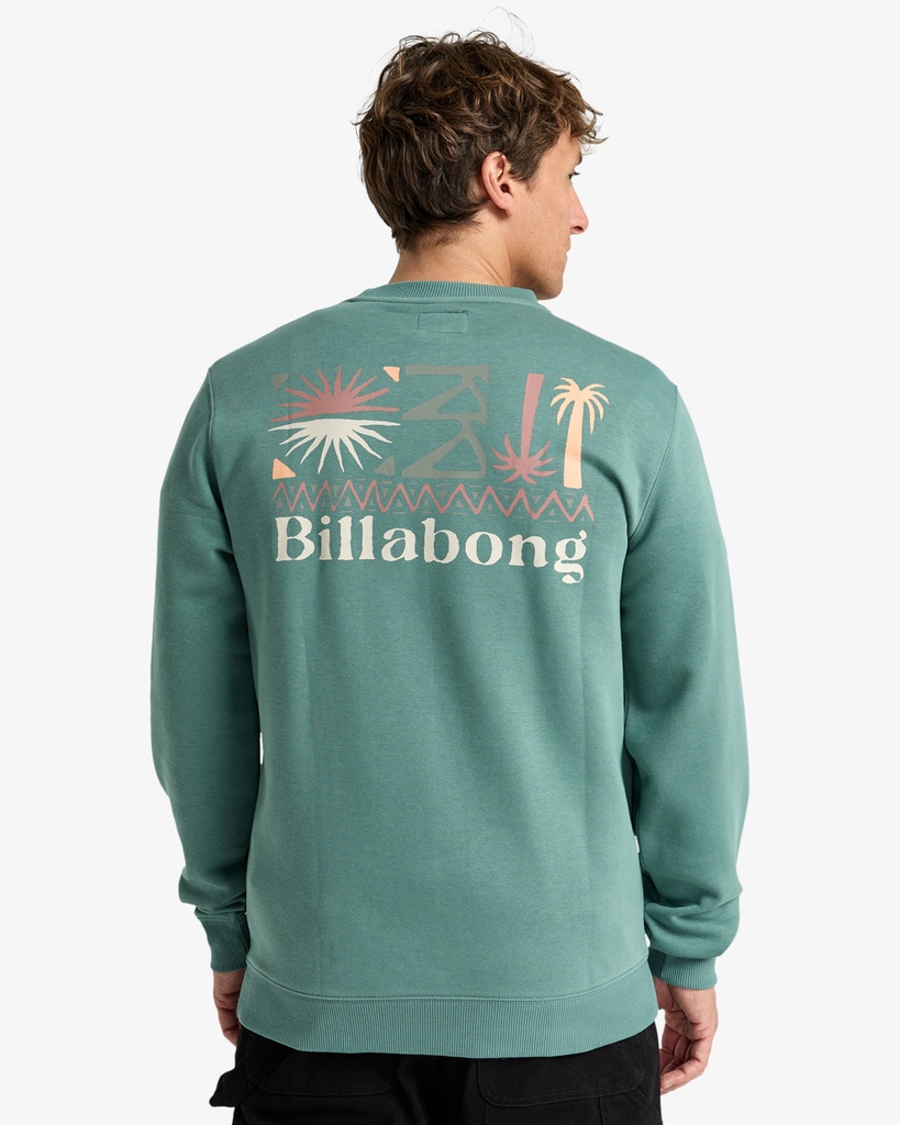 Sudadera Billabong Foundation Cr - Sagebrush