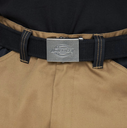 Cinturón Dickies Canvas - Black