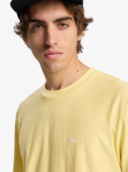 Camiseta Quiksilver Slub Roundneck - Garden Glade (gcc0)