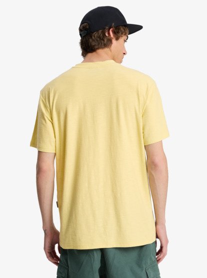 Camiseta Quiksilver Slub Roundneck - Garden Glade (gcc0)