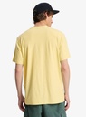 Camiseta Quiksilver Slub Roundneck - Garden Glade (gcc0)