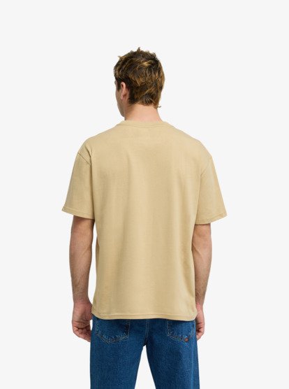Camiseta Quiksilver Salt Water - Khaki (cjz0)