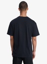 Camiseta Quiksilver Salt Water - Black (kvj0)