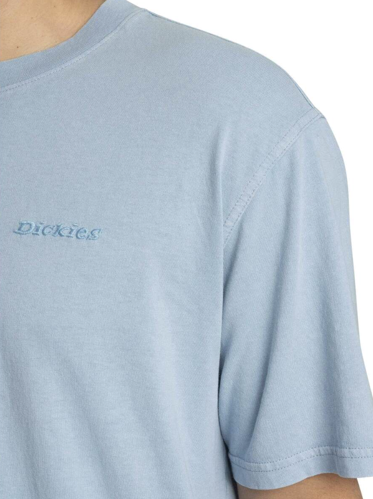 Camiseta Dickies Plentywood - Endless Sky