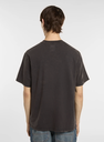 Camiseta Dickies Plentywood -Negro