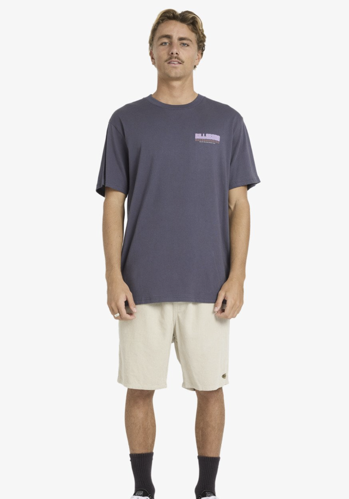 Camiseta Billabong Broadsheet Premium - Graystone