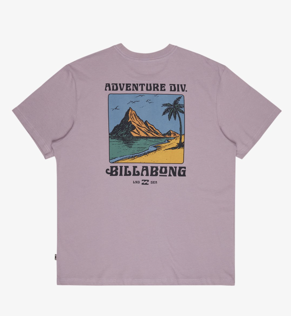 Camiseta Billabong Post Cards A/Div Premium - Purple Ash