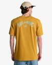 Camiseta Billabong Arch Wave - Honey (ylh0)