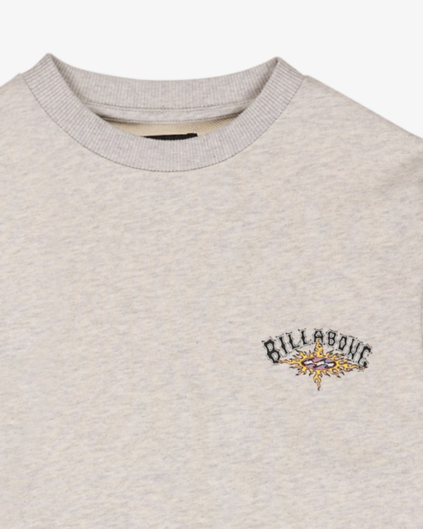 Sudadera Billabong Foundation (8-16 años) - Light Grey Heather (lgh)