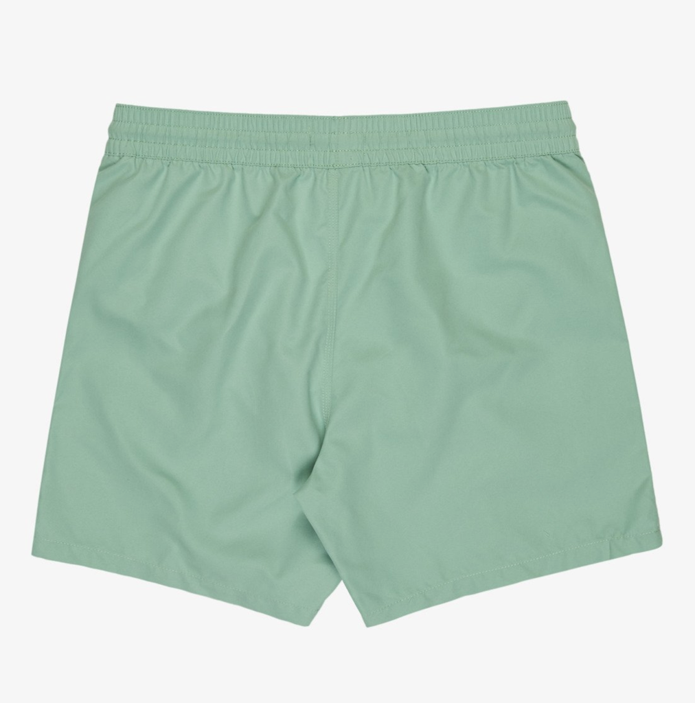 Bañador Billabong All Day 16" - Green Ash (ggv0)