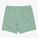 Bañador Billabong All Day 16" - Green Ash (ggv0)