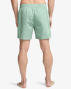 Bañador Billabong All Day 16" - Green Ash (ggv0)