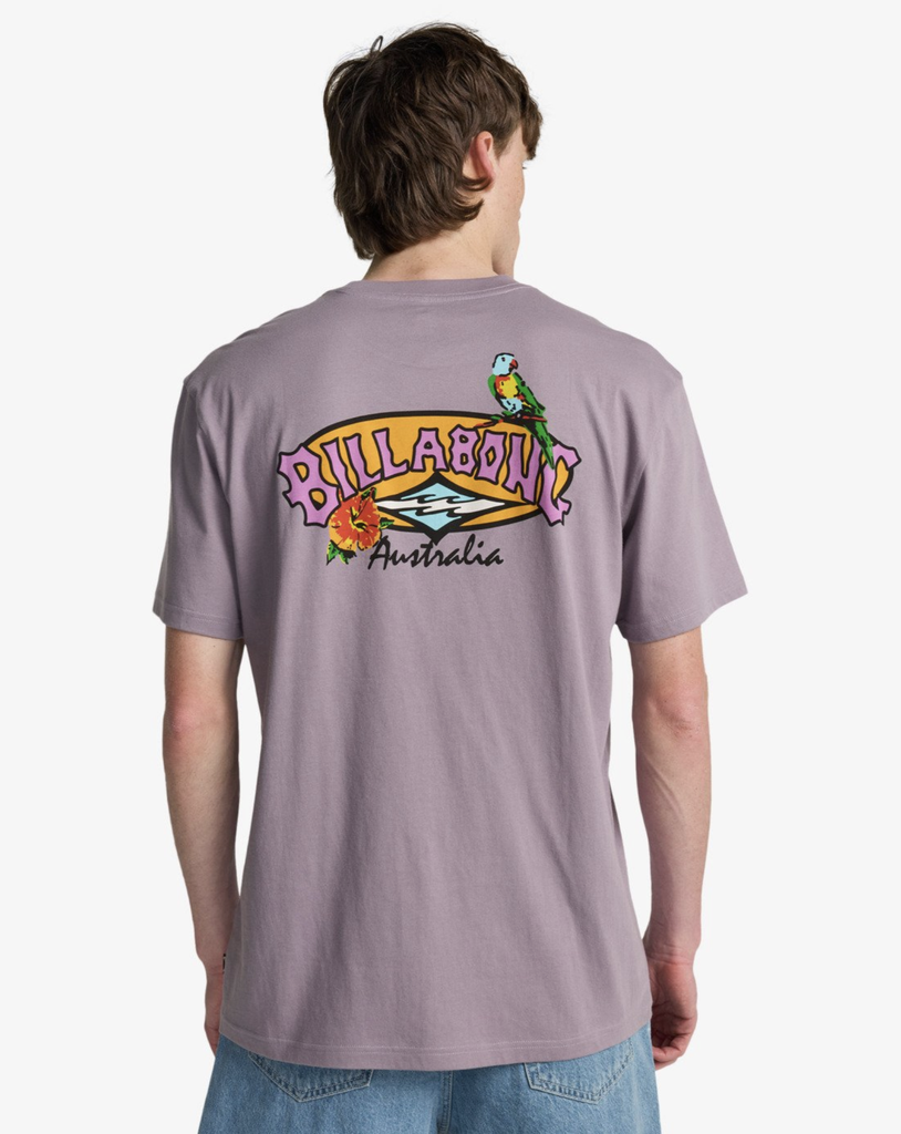 Camiseta Billabong Origin - Purple Ash (skw0)