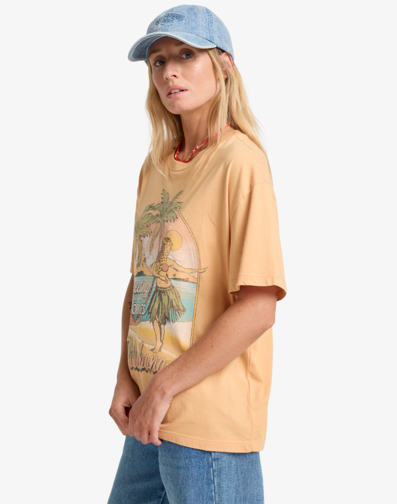 Camiseta Billabong Vibe Time - Clay (cly)