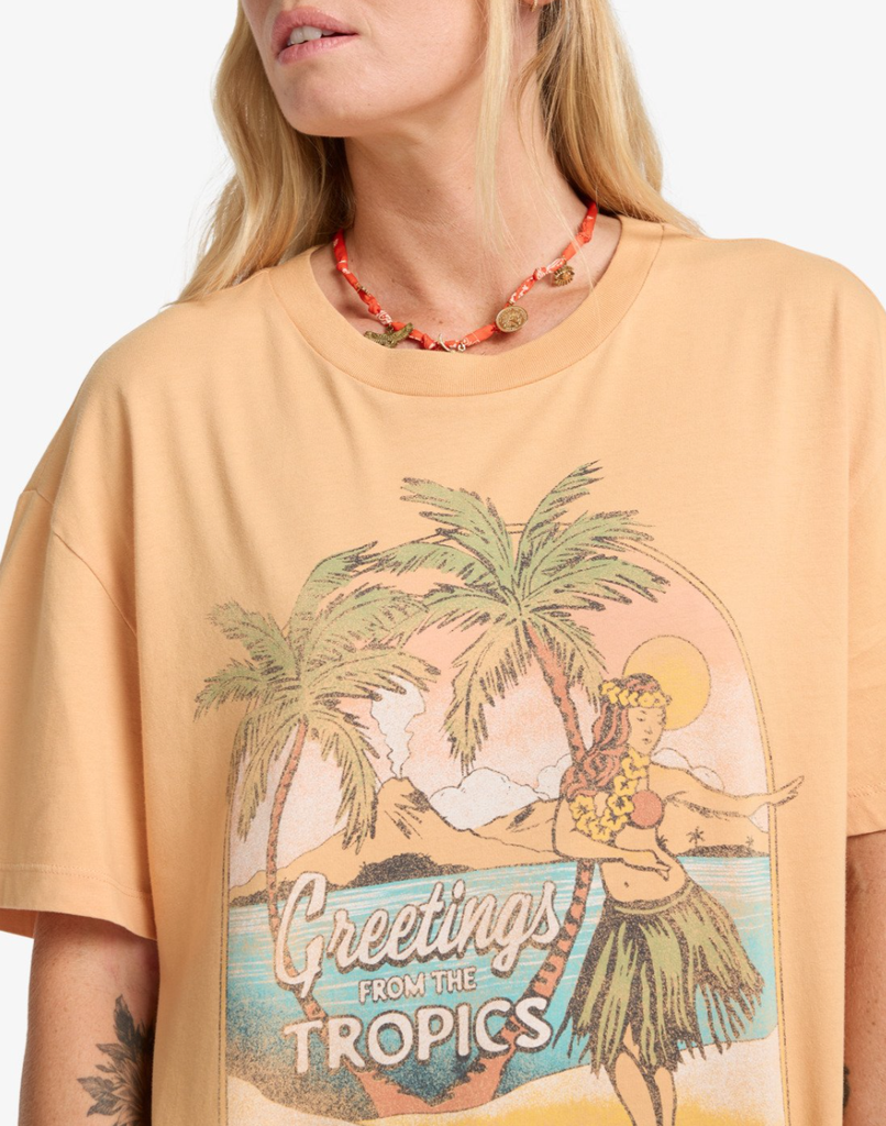 Camiseta Billabong Vibe Time - Clay (cly)