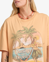 Camiseta Billabong Vibe Time - Clay (cly)