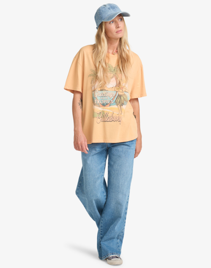 Camiseta Billabong Vibe Time - Clay (cly)
