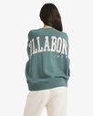 Sudadera Billabong Dont Forget - Alpine (apn)