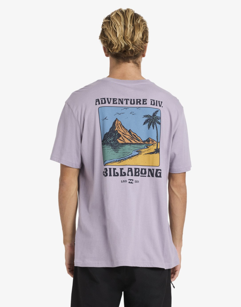 Camiseta Billabong Post Cards - Purple Ash (pps)