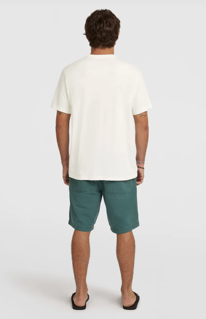 Pantalón Corto O'neill Men O'Riginals - Botanical Heat