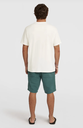 Pantalón Corto O'neill Men O'Riginals - Botanical Heat
