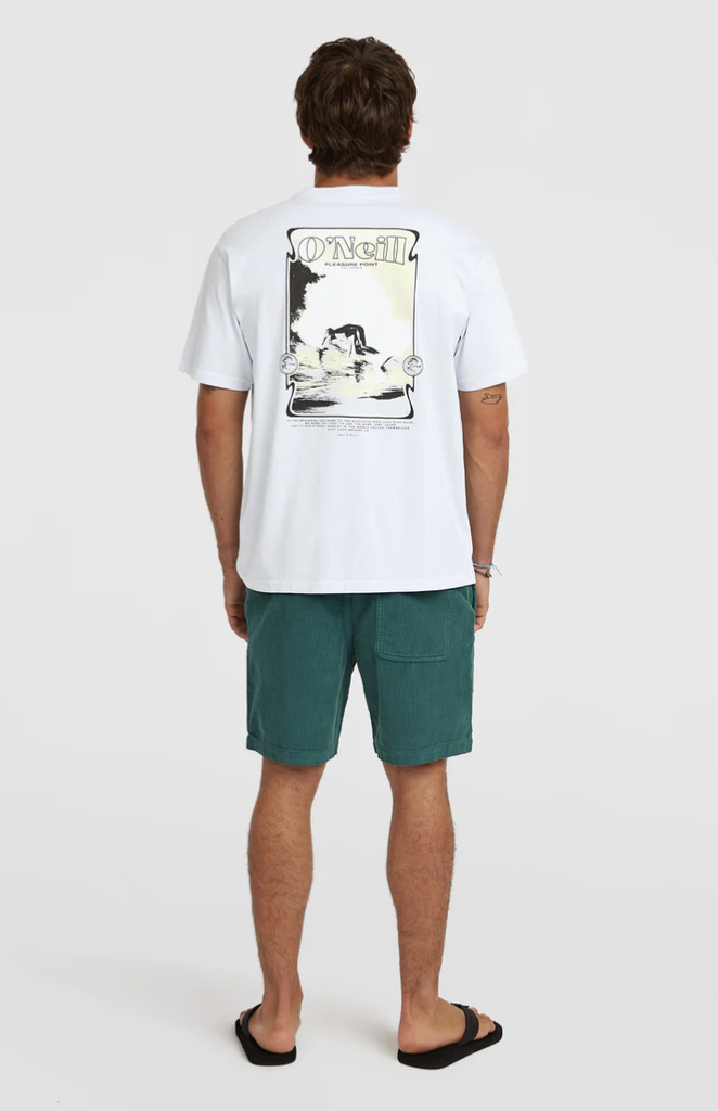 Pantalón Corto de Pana O'neill O'Riginals Cord - Botanical Heat