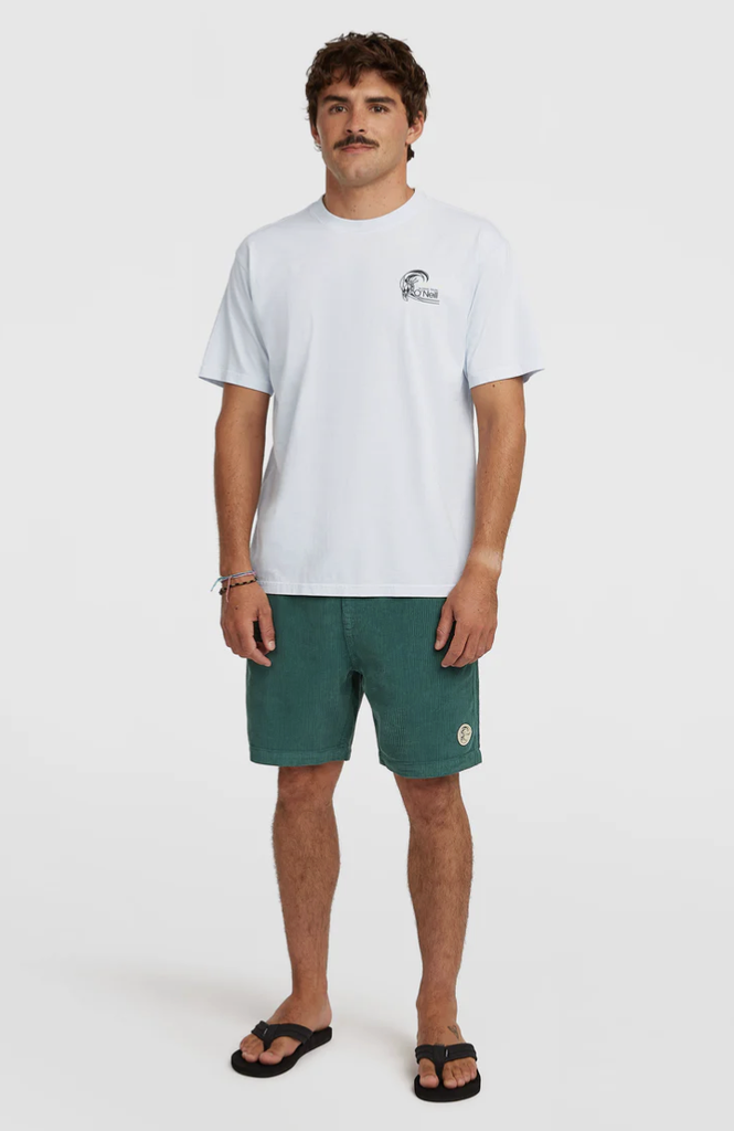 Camiseta O'neill O'Riginals 70s Graphic - Spindle