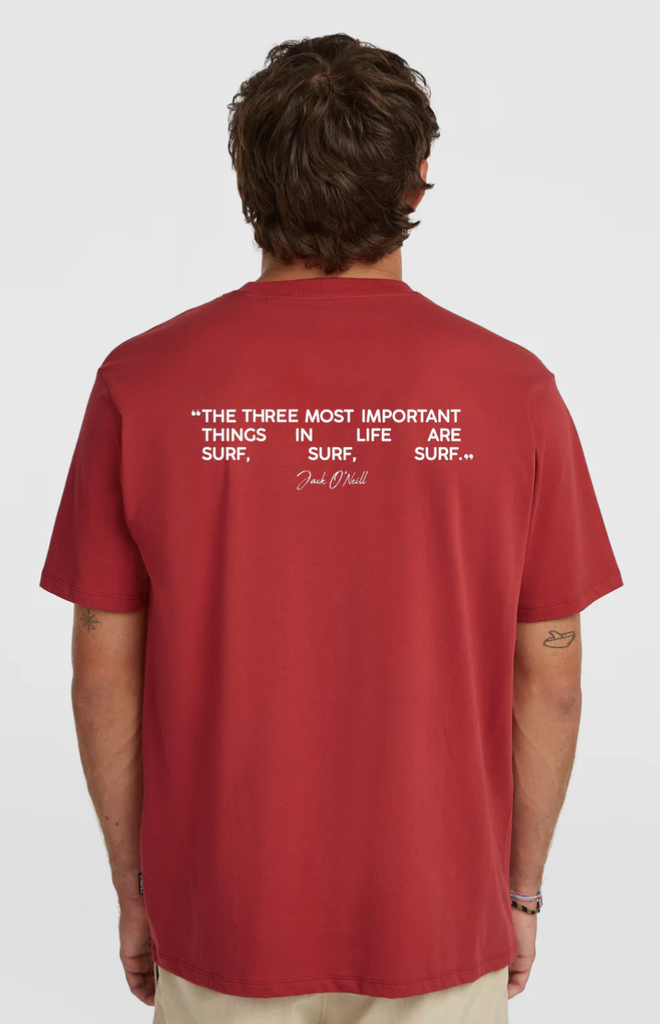 Camiseta O'neill Polygiene Cotton Graphic - Midnight Poppy