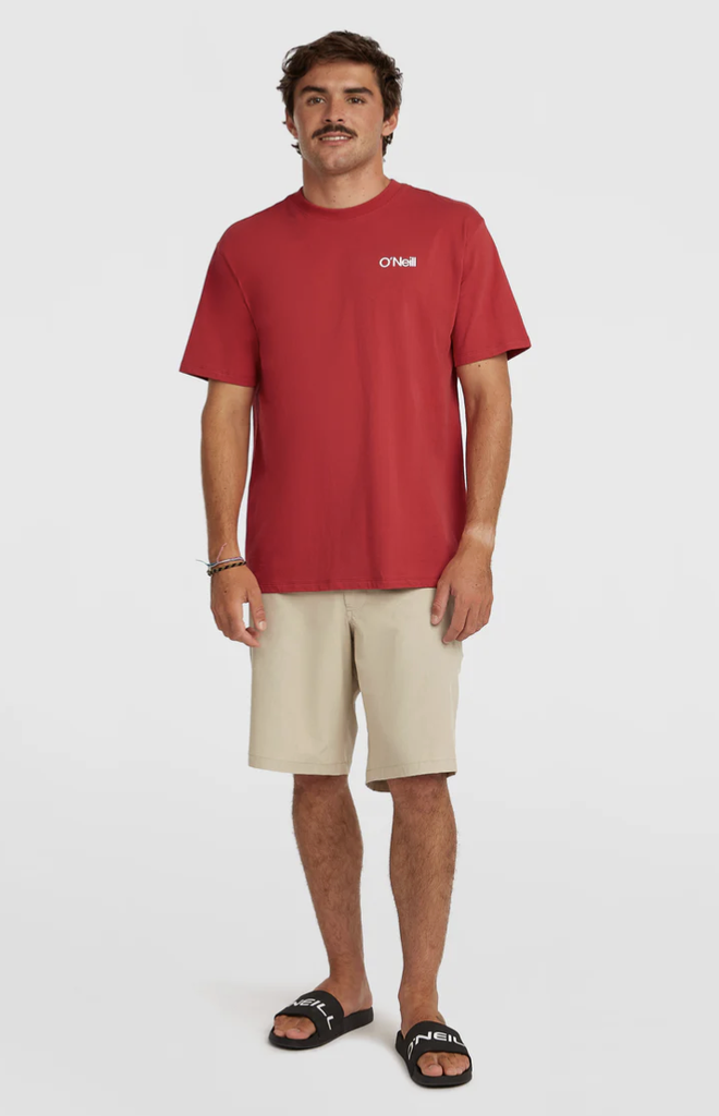 Camiseta O'neill Polygiene Cotton Graphic - Midnight Poppy