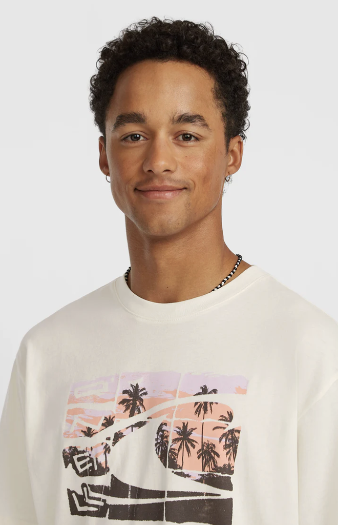 Camiseta O'neill Gradient - Snow White