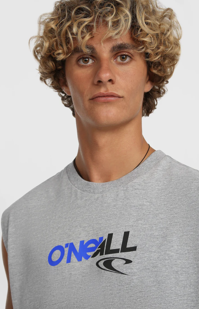 Camiseta Sin Mangas O'neill Essentials 90s Graphic - Silver Melee