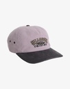 Gorra Billabong Heritage - Quail (qua)