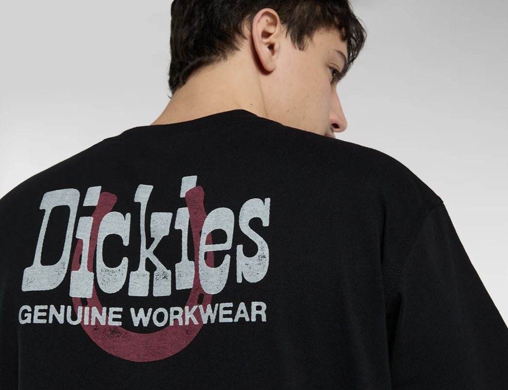 Camiseta Dickies Vernal - Black