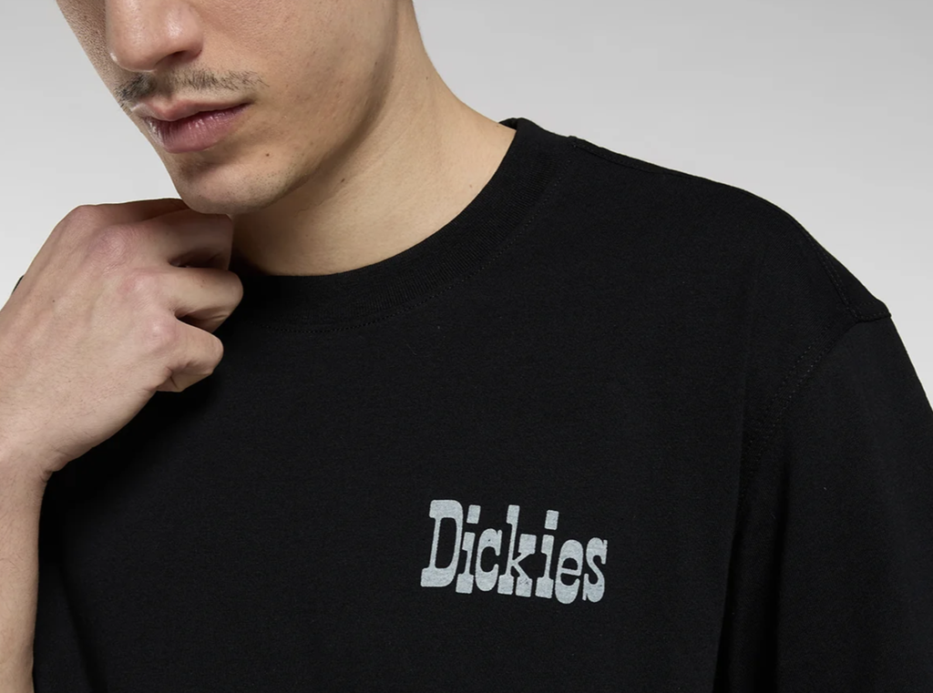 Camiseta Dickies Vernal - Black