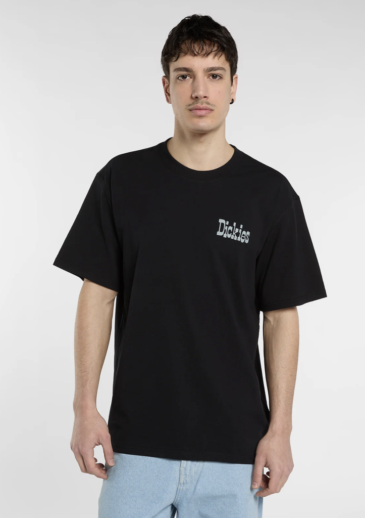 Camiseta Dickies Vernal - Black