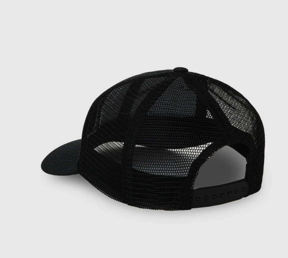 Gorra Dickies Irondale - Black