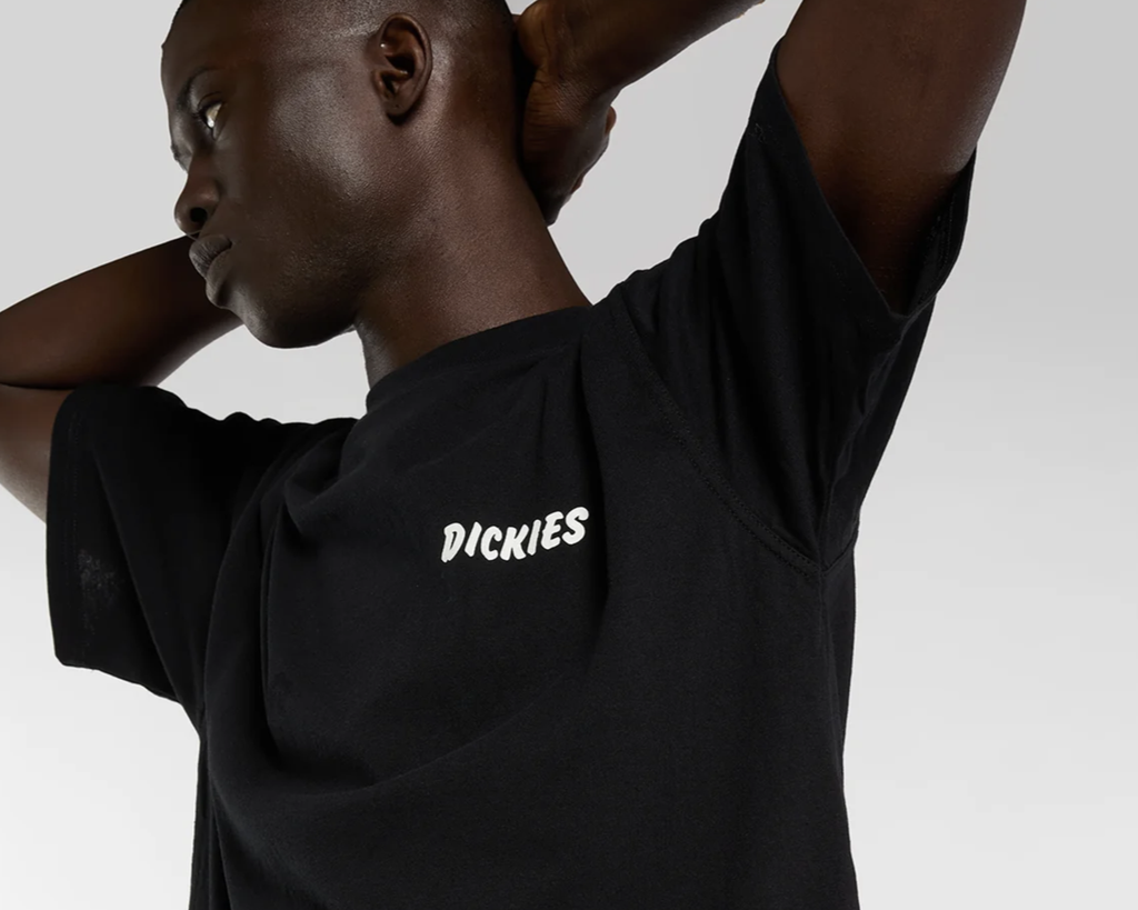 Camiseta Dickies Dry Ridge - Black