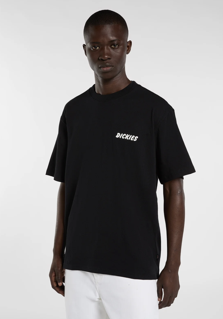 Camiseta Dickies Dry Ridge - Black