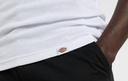 Camiseta Dickies Sin Mangas Amsterdam - White