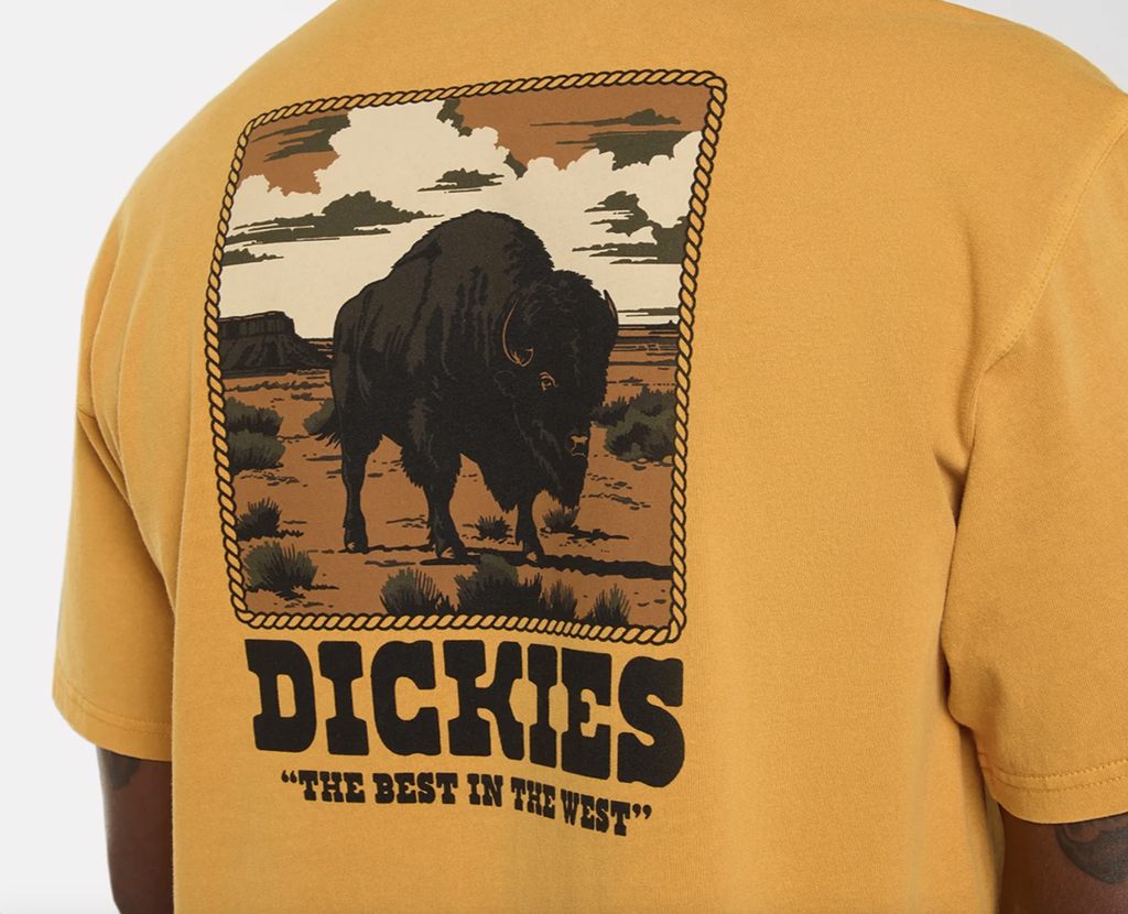 Camiseta Dickies Darrtown - Sunflower