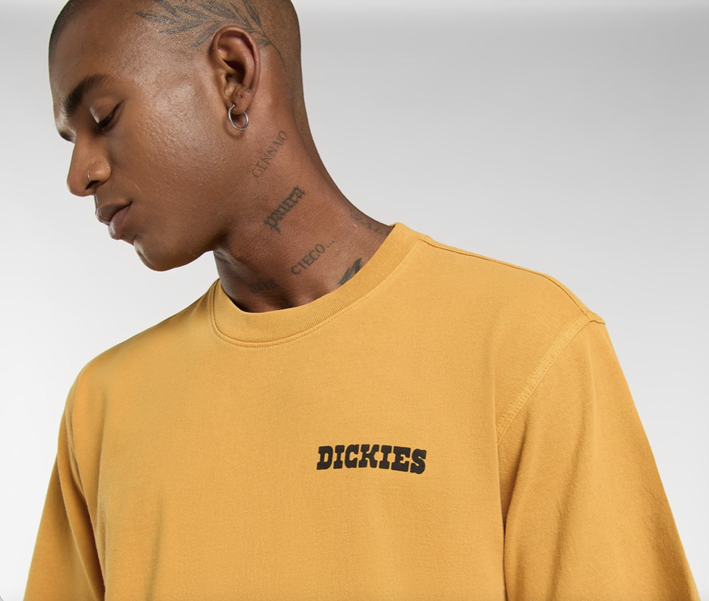 Camiseta Dickies Darrtown - Sunflower