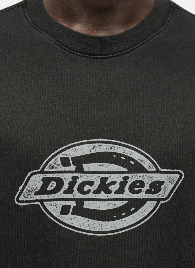 Camiseta Dickies Plainville - Black