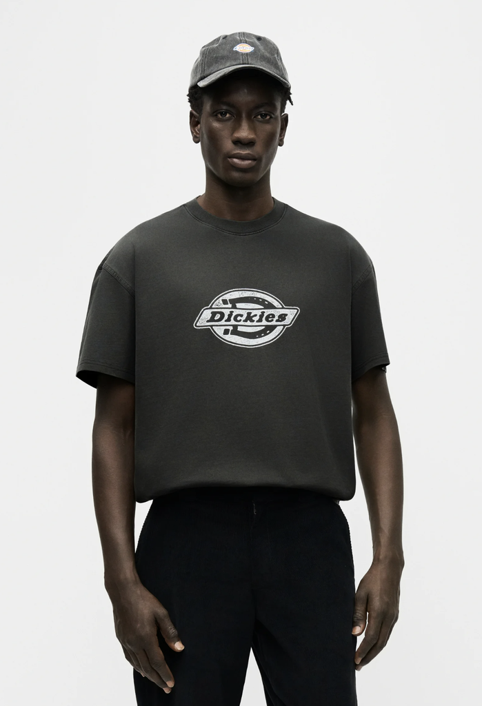 Camiseta Dickies Plainville - Black