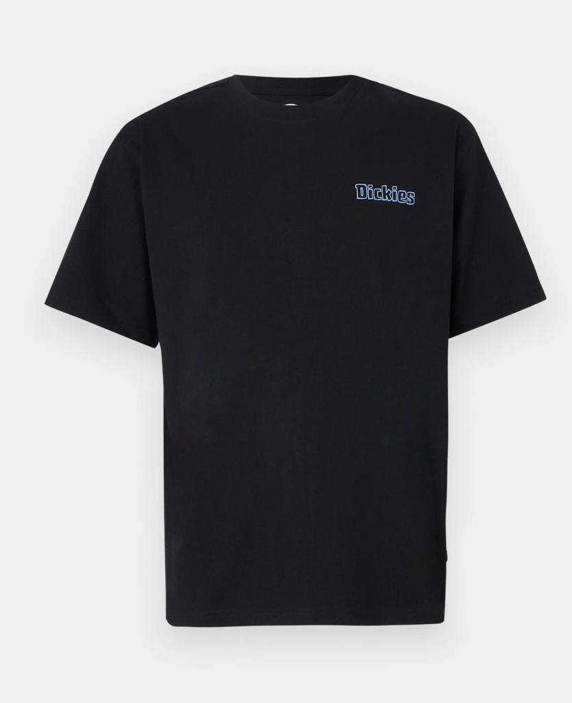 Camiseta Dickies Fairlawn - Black