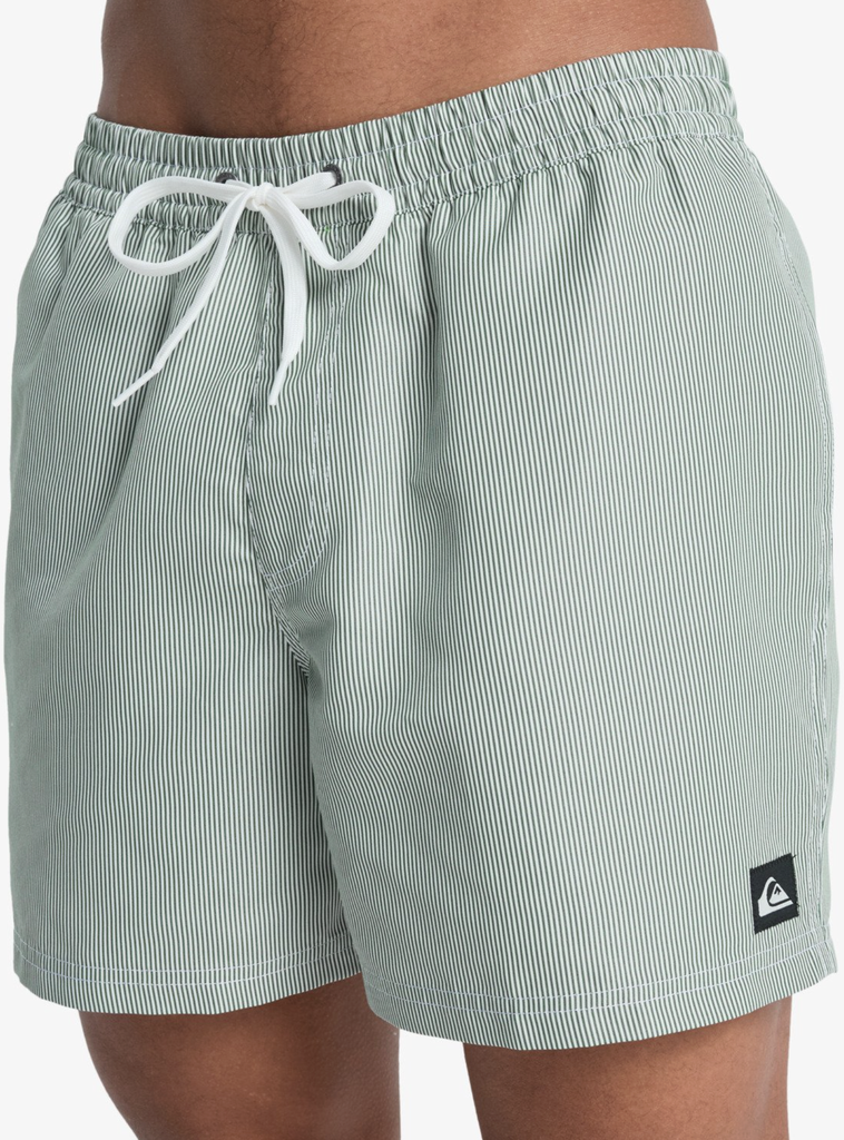Bañador Quiksilver Everyday Deluxe 15" -