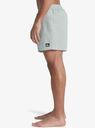 Bañador Quiksilver Everyday Deluxe 15" -