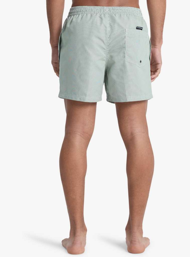 Bañador Quiksilver Everyday Deluxe 15" -