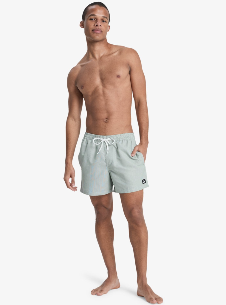Bañador Quiksilver Everyday Deluxe 15" -