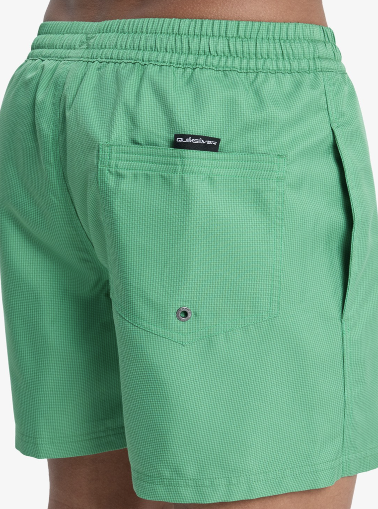 Bañador Quiksilver Everyday Deluxe 15" - Leprechaun (gnz0)